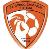 https://img.ipjljsq.com/img/football/team/5477d301041e00b2de35d5eeea2fabb4.png